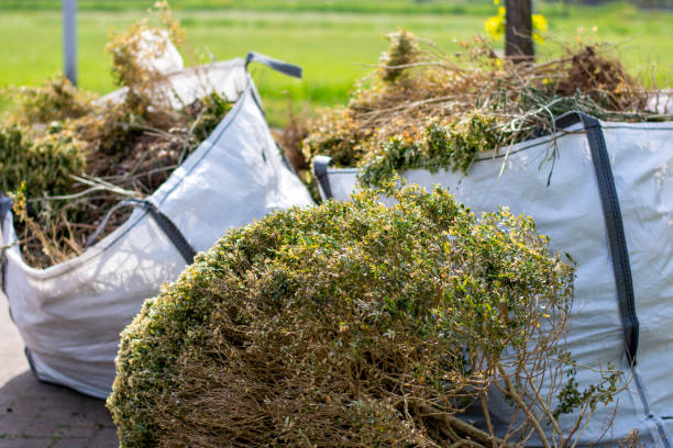 Professional Junk Removal in Amador Pines, CA